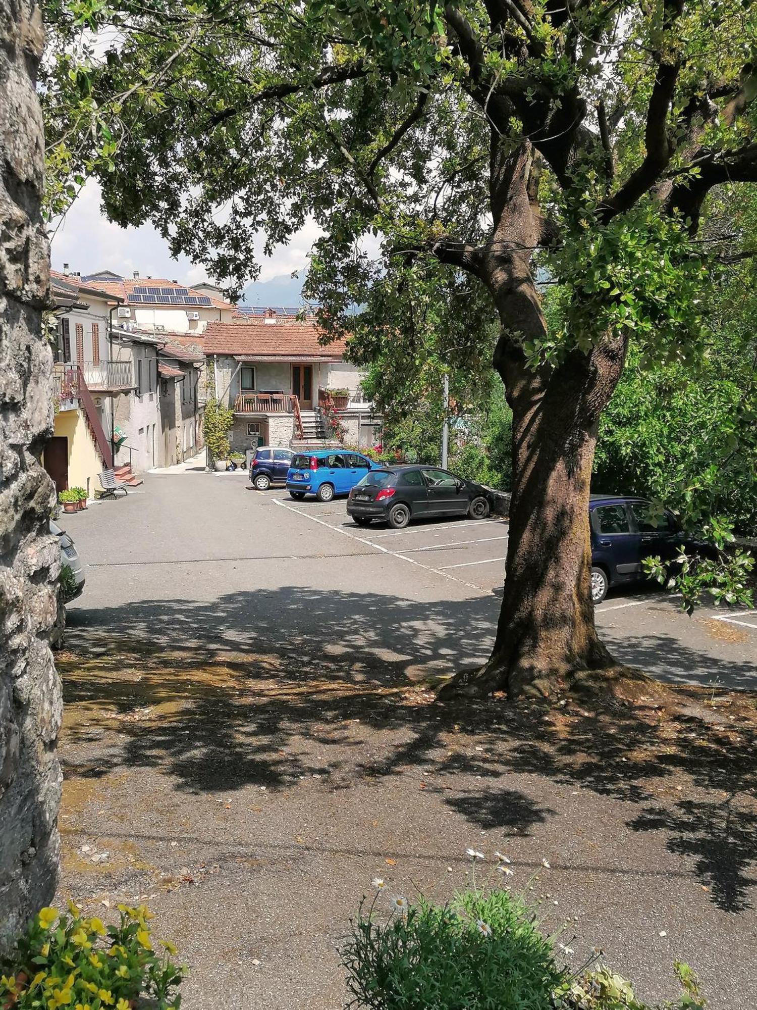 Villa Forni Rosaia Olivola  Esterno foto