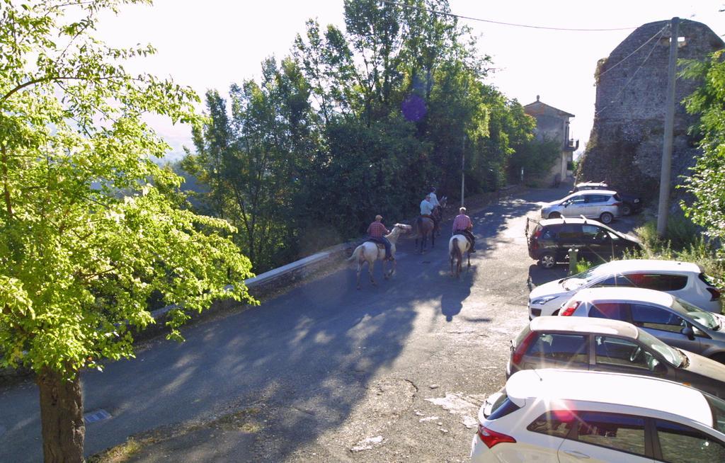 Villa Forni Rosaia Olivola  Esterno foto
