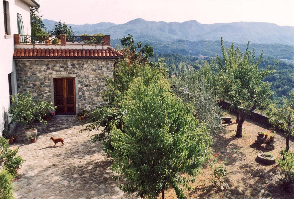 Villa Forni Rosaia Olivola  Esterno foto