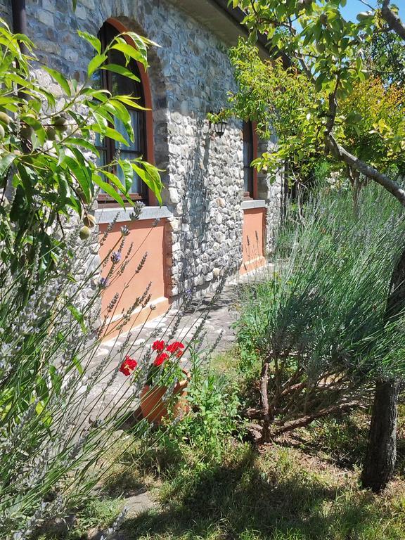 Villa Forni Rosaia Olivola  Esterno foto